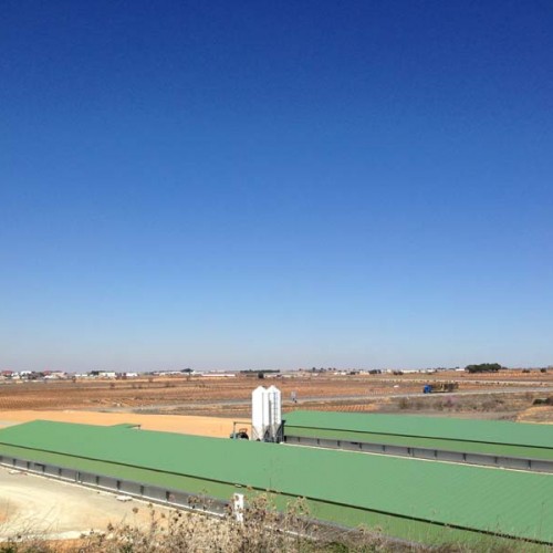 Equipamiento Granja Avícola en Villamalea (Albacete)