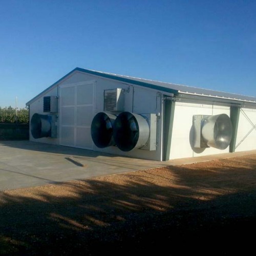 Equipamiento Granja Avícola en Quintanar del Rey (Cuenca)