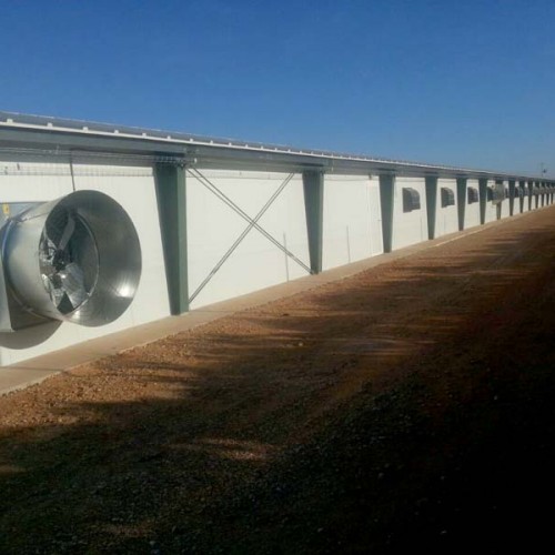 Equipamiento Granja Avícola en Quintanar del Rey (Cuenca)