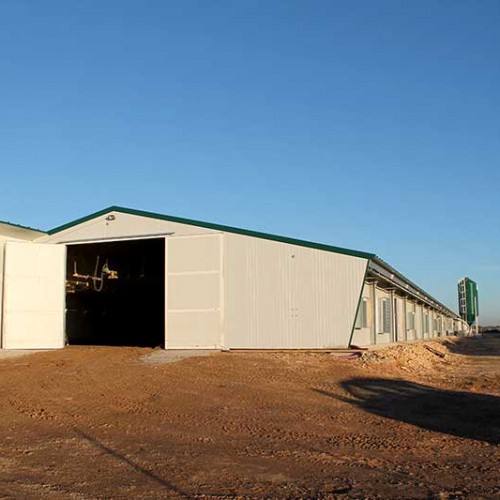 Granja para Pollos de Engorde en La Roda (Albacete)