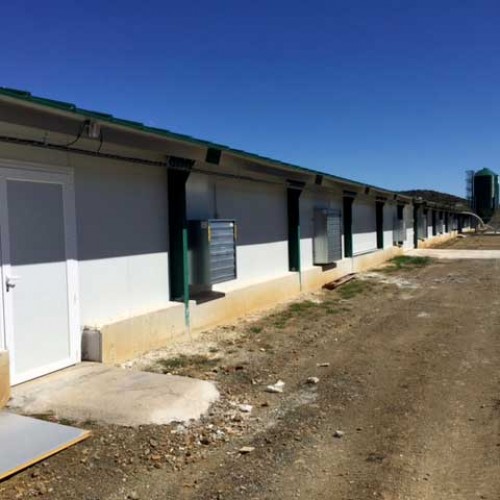 Granja Avícola Llave en Mano en Fuente Obejuna (Córdoba)