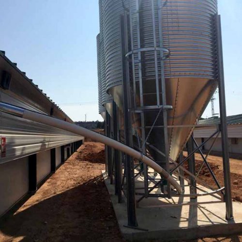 Nave de Engorde para Pollos en Campillo de Altobuey – Cuenca